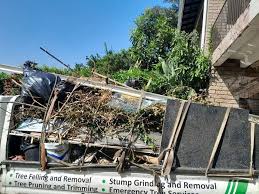 Best Recycling Services for Junk  in Highland Park, MI