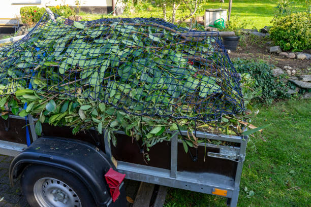 Best Yard Waste Removal  in Highland Park, MI